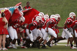 赛前速览：法甲季后赛曼城对阵上海申花，三大看点值得期待-爱游戏娱乐电竞